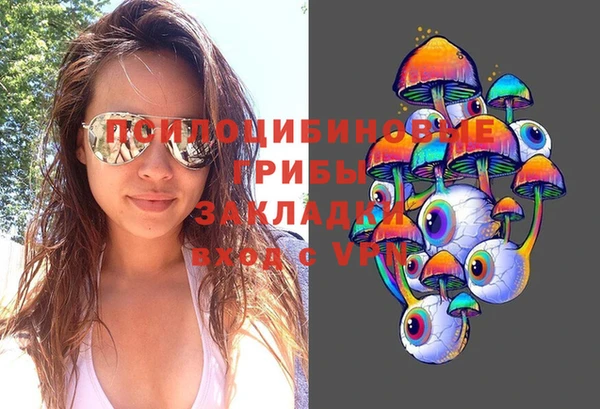 СК Аркадак