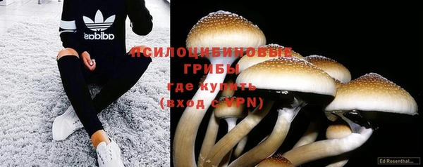 кокаин колумбия Алексин
